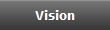 Vision
