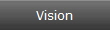 Vision